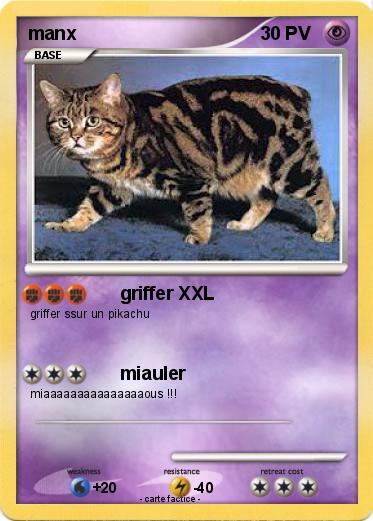 Pokemon manx