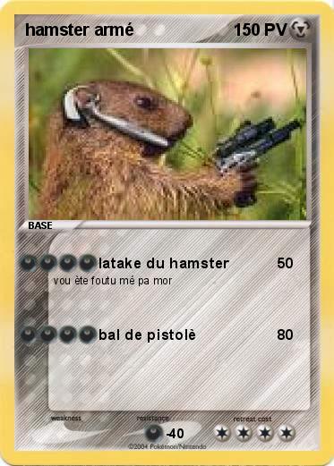 Pokemon hamster armé