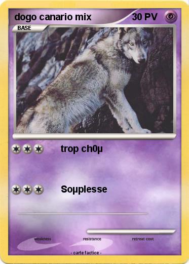 Pokemon dogo canario mix