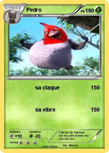 Pokemon Pedro