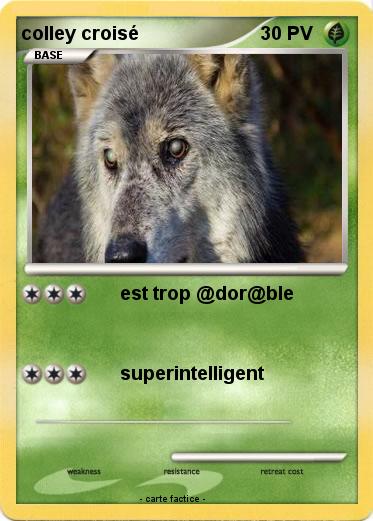 Pokemon colley croisé