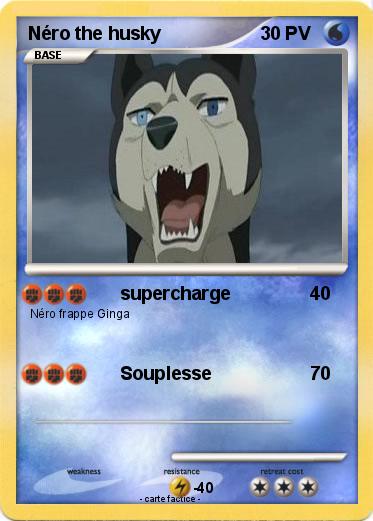 Pokemon Néro the husky