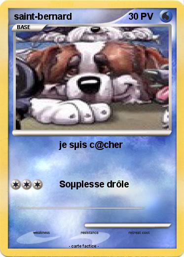 Pokemon saint-bernard