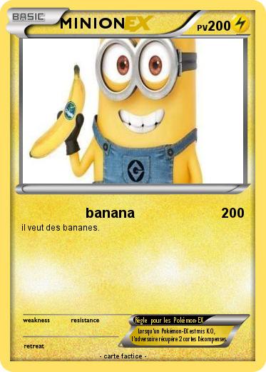 Pokemon MINION