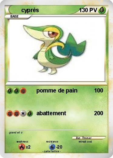 Pokemon cyprès