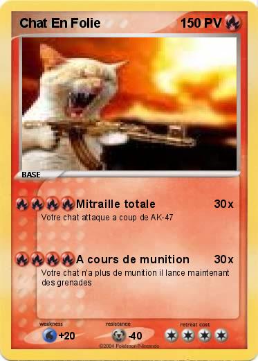 Pokemon Chat En Folie