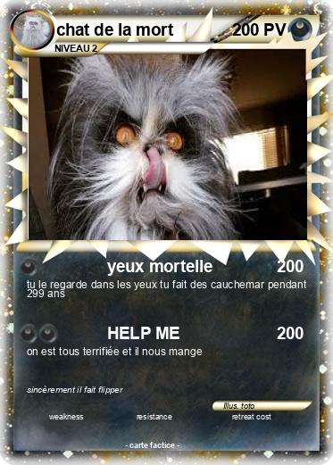 Pokemon chat de la mort
