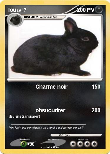 Pokemon lou
