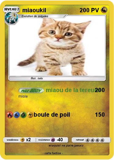 Pokemon miaoukil