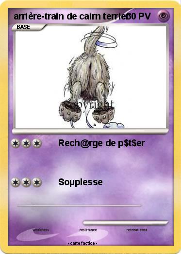 Pokemon arrière-train de cairn terrier