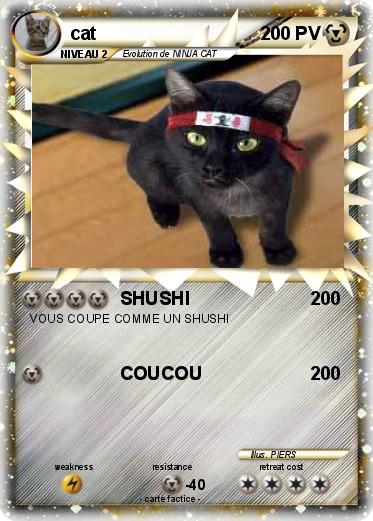 Pokemon cat