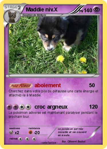 Pokemon Maddie niv.X