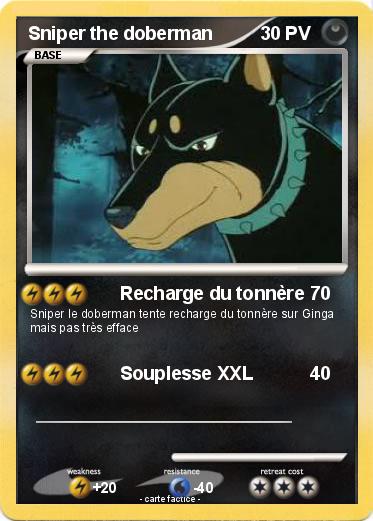 Pokemon Sniper the doberman