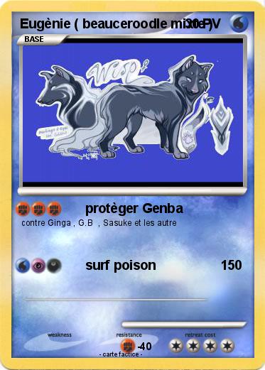 Pokemon Eugènie ( beauceroodle mixte )