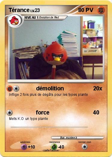 Pokemon Térance