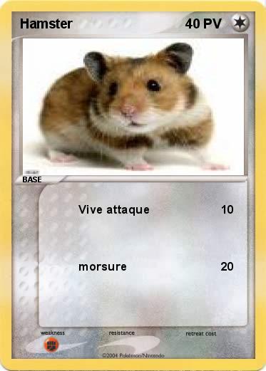 Pokemon Hamster