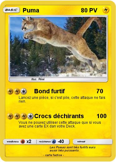 Pokemon Puma