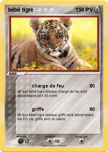 Pokemon bébé tigre
