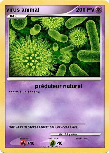 Pokemon virus animal