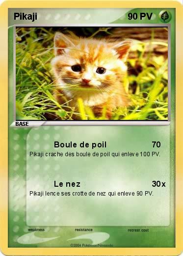 Pokemon Pikaji