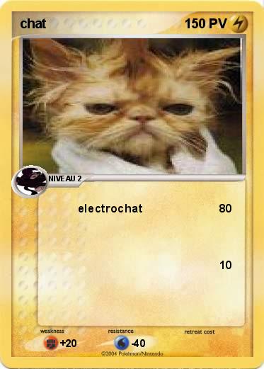 Pokemon chat