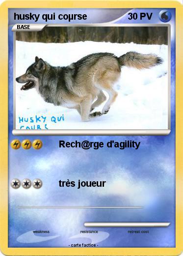 Pokemon husky qui coµrse