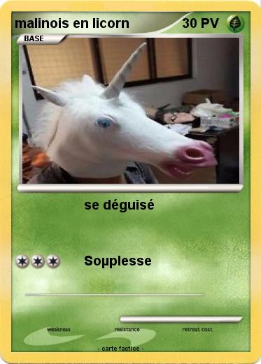 Pokemon malinois en licorn