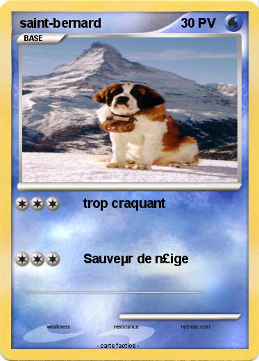Pokemon saint-bernard