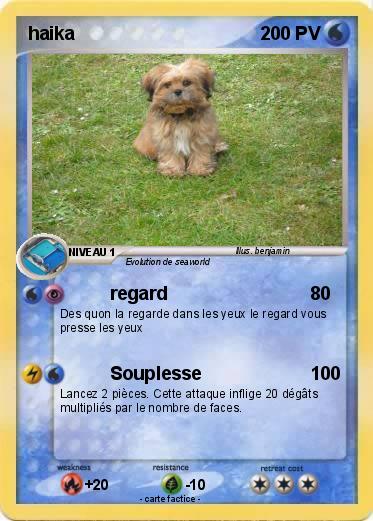 Pokemon haika