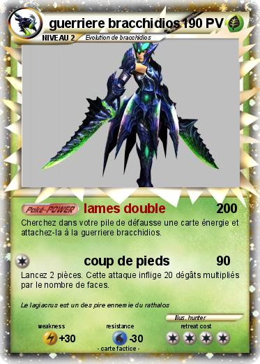 Pokemon guerriere bracchidios