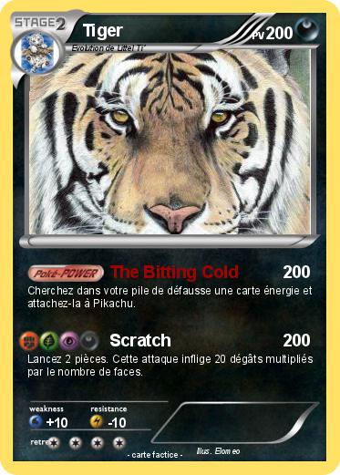 Pokemon Tiger