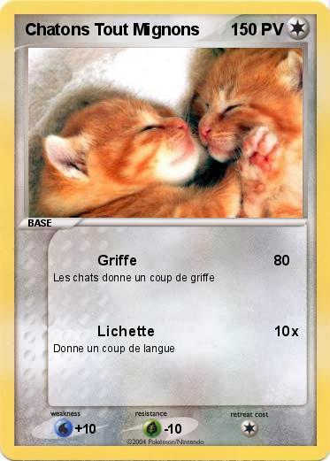 Pokemon Chatons Tout Mignons