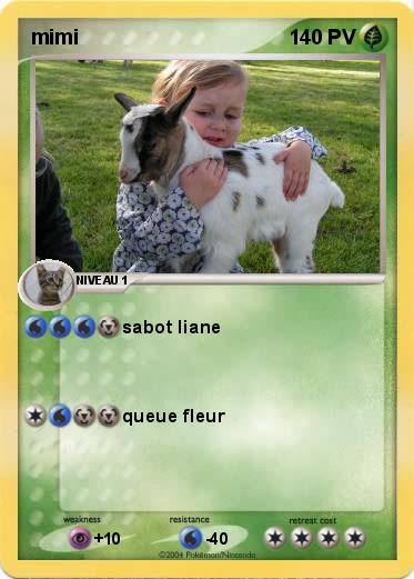 Pokemon mimi