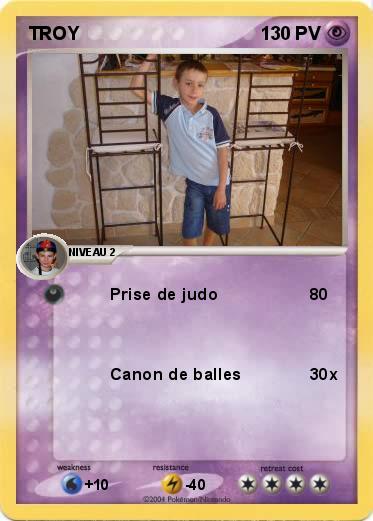 Pokemon TROY