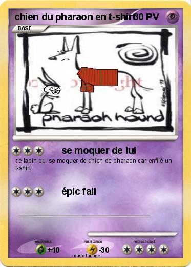 Pokemon chien du pharaon en t-shirt