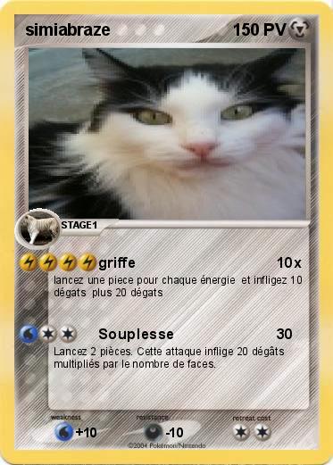 Pokemon simiabraze