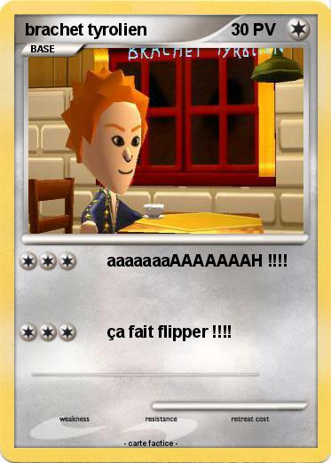 Pokemon brachet tyrolien