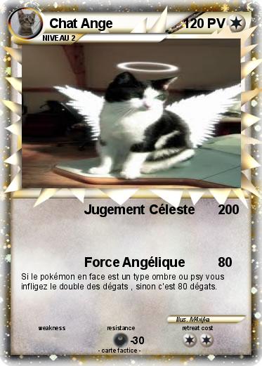 Pokemon Chat Ange