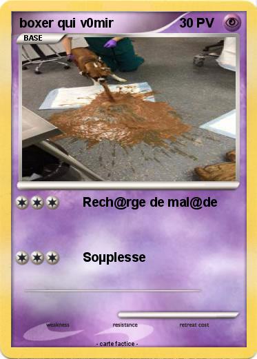Pokemon boxer qui v0mir