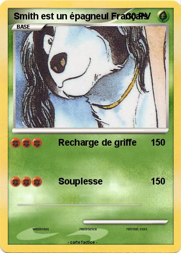 Pokemon Smith est un épagneul Français