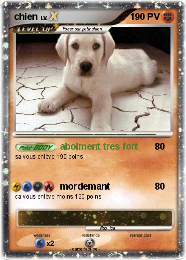 Pokemon chien