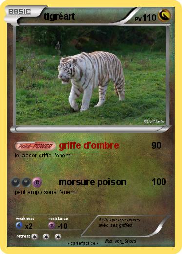 Pokemon tigréart