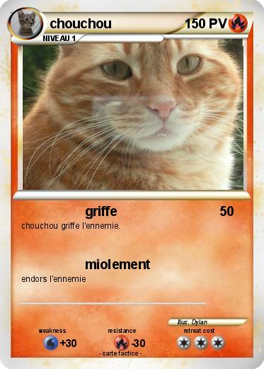 Pokemon chouchou