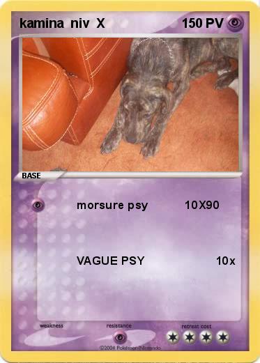 Pokemon kamina  niv  X