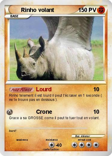 Pokemon Rinho volant