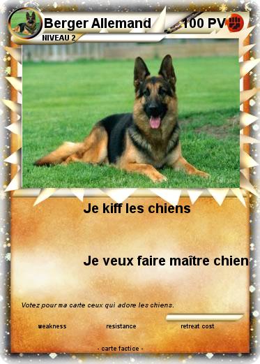 Pokemon Berger Allemand