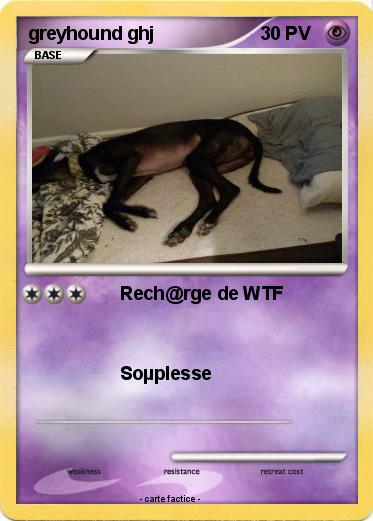 Pokemon greyhound ghj