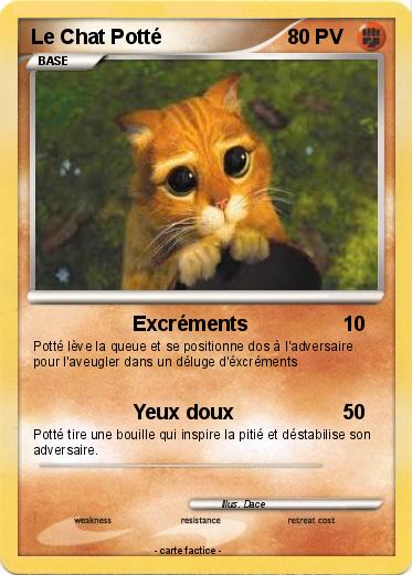 Pokemon Le Chat Potté