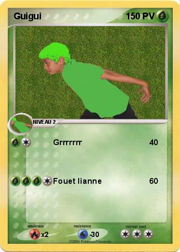 Pokemon Guigui