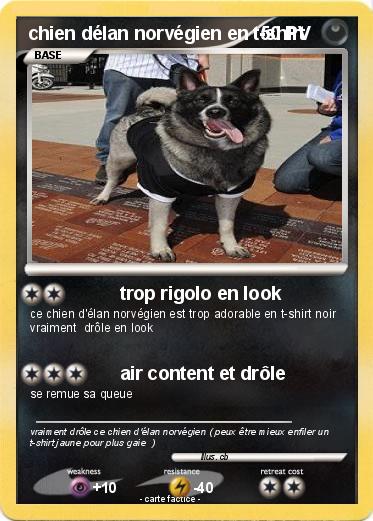 Pokemon chien délan norvégien en t-shirt
